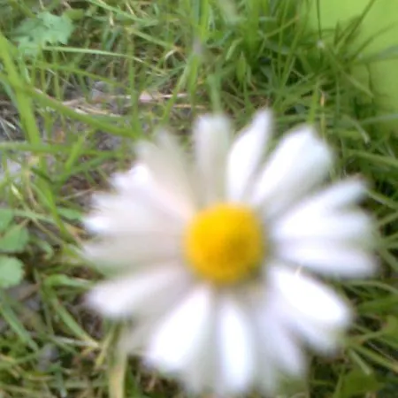 Berg-juwel Apartamento *