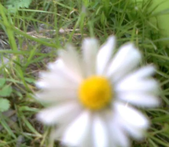 Berg-juwel Appartamento *