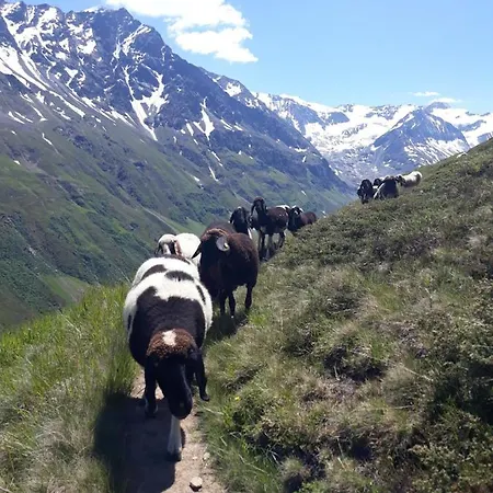 Berg-juwel *